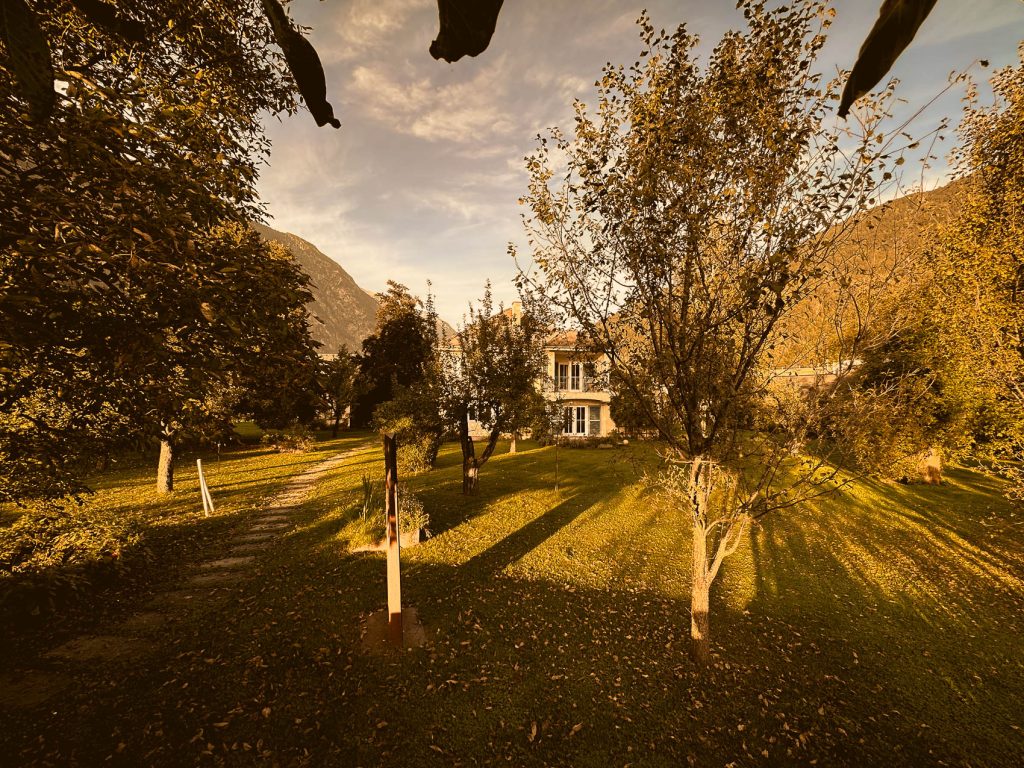 das Gesundheitsstudio für geistige Fitness & körperliches Wohlbefinden in Zams, Tirol.