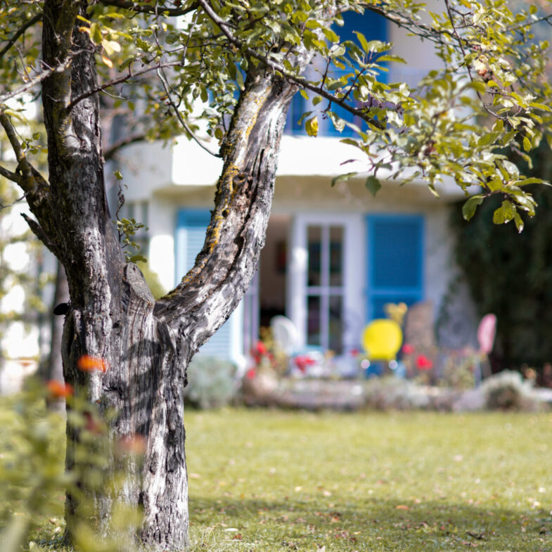 Körperhuus_Digital Lotsen_2025-57